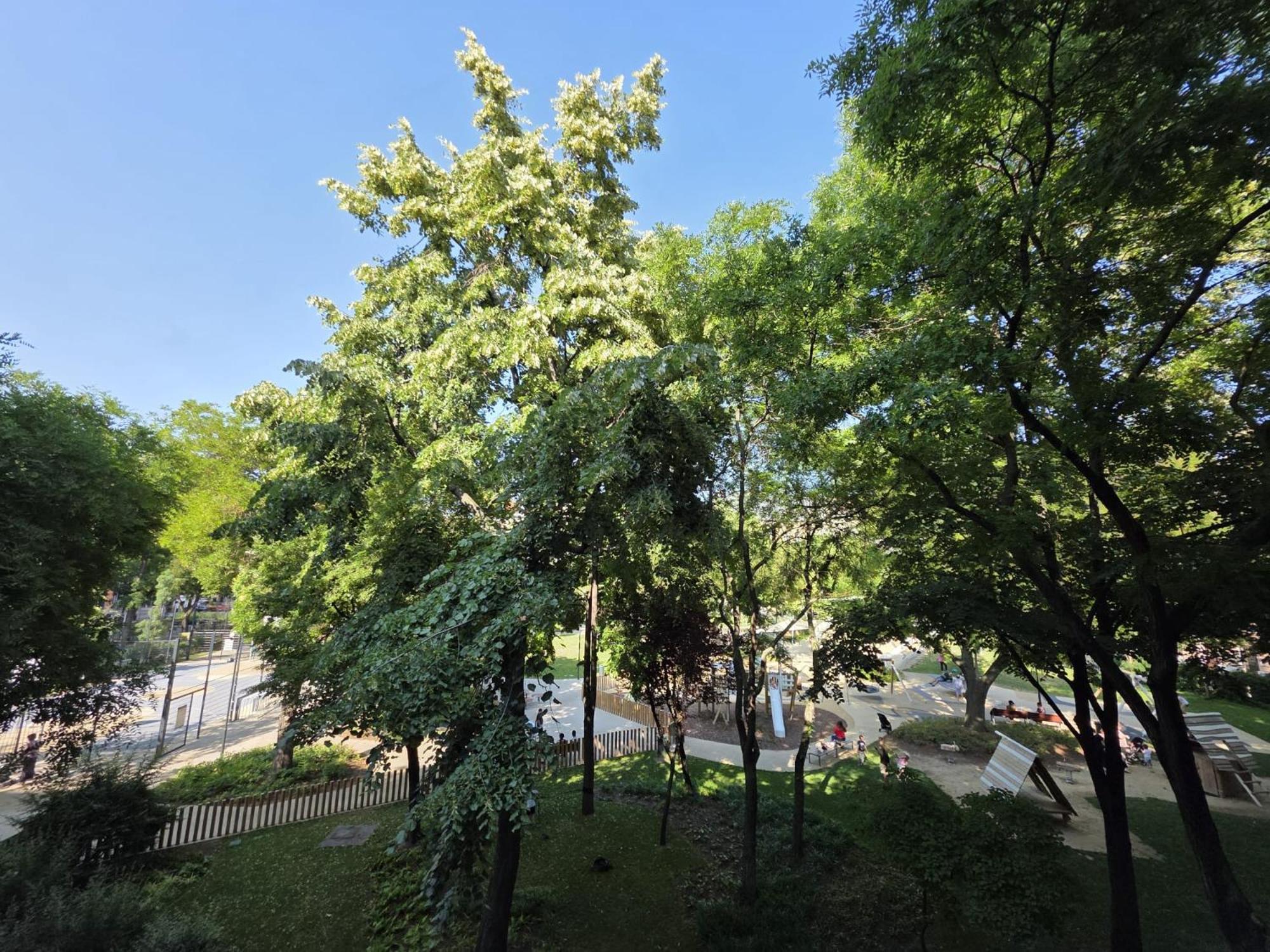 Location In Budapest! Budapest